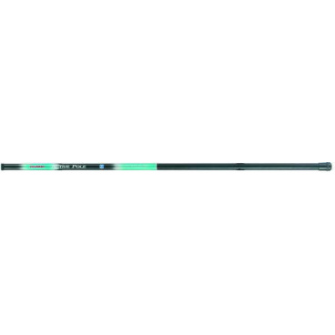 Active Pole  3,0 m  5 - 25 g